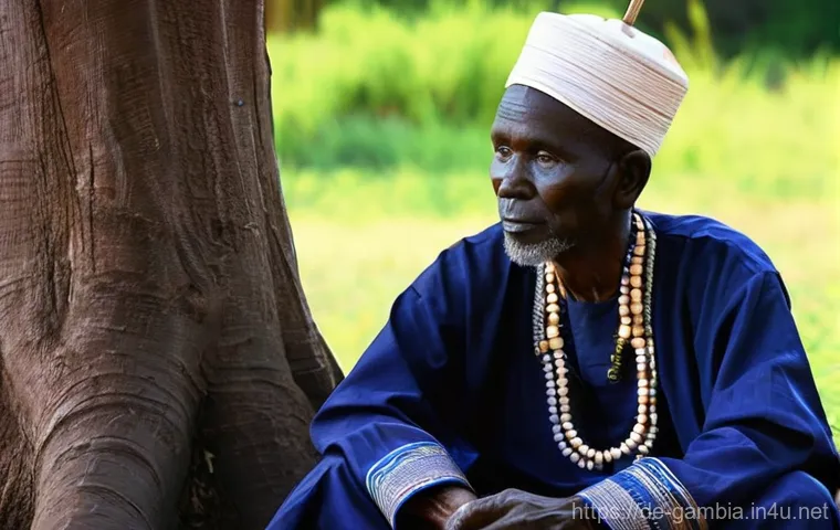 감비아 민속춤과 문화 - **A Vibrant Gambian Village Dance Celebration:**
    An outdoor, wide-angle shot of a lively Gambian...