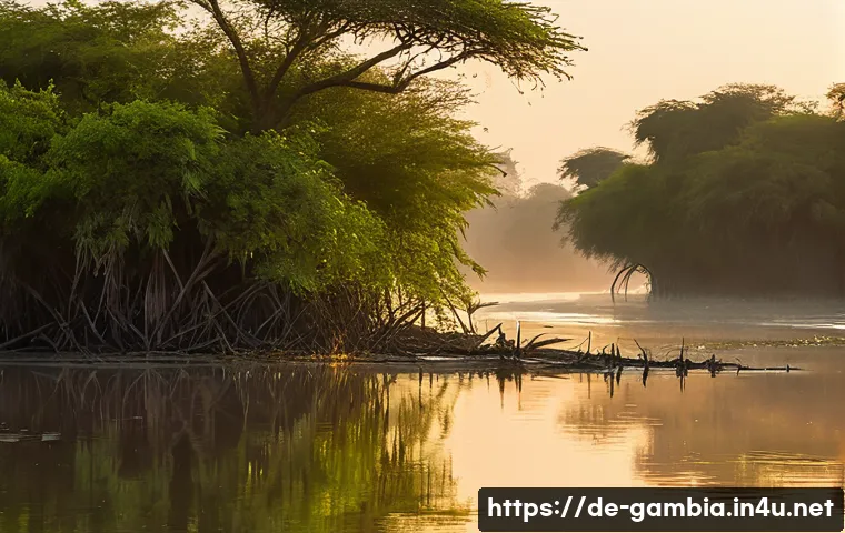 감비아 리버 크루즈 체험 - A vibrant scene along the Gambia River at dawn, featuring a variety of colorful bird species such as...